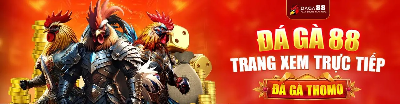 Sân vận động với trận đấu thể thao sôi động tại 6789s6